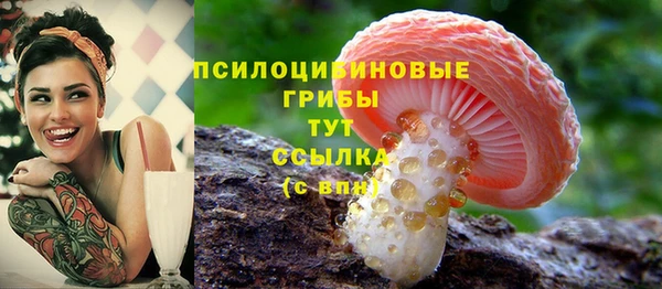 jwh Верхний Тагил