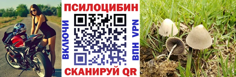 Галлюциногенные грибы GOLDEN TEACHER  Купить  Мамоново 